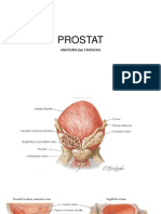 Prostate Enlargement-ilmiah Maret 201