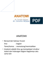 Anatomi Dan Struktur Sel