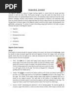 Download Digestive System by Sriram Susarla SN215042083 doc pdf