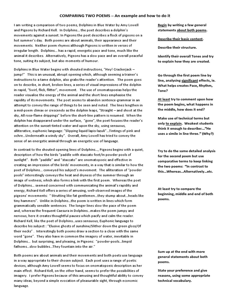 Example of an essay introduction picture