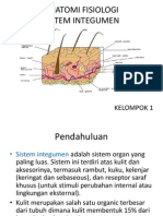 Anatomi Fisiologi Sistem Integumen