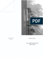 Las Transformaciones Silenciosas Jullien