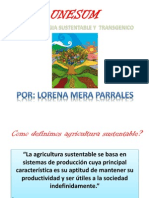 Deber 2 Agroecologia