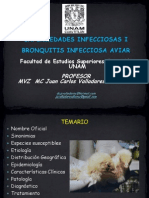 Clase Bronquitis Infecciosa