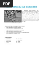 Download Proses Metabolisme Organisme Materi Kelas 12 Biologi by Thaggriiet Euseiitha Cyruus SN215132217 doc pdf