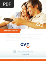 Gvt Manual e Contrato Tv
