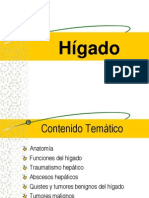 19. Higado Clase