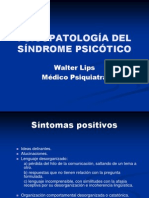 Psicopatologia Del Sndrome Psictico 2008 1220408509096927 9