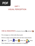 Visual Perception