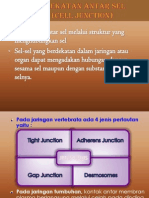 Biologi Sel (a) - Perlekatan Antar Sel