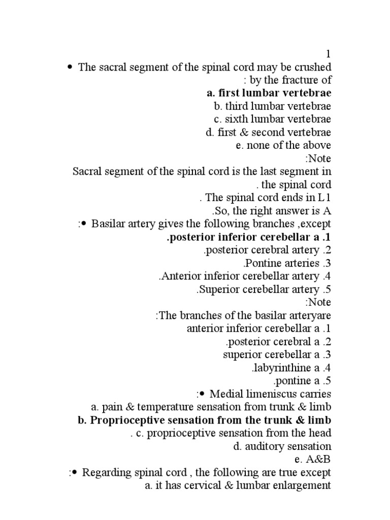 Mcq CNS Anatomy Spinal Cord Nervous System