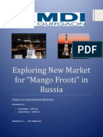 International Business Project - Mango Frooti