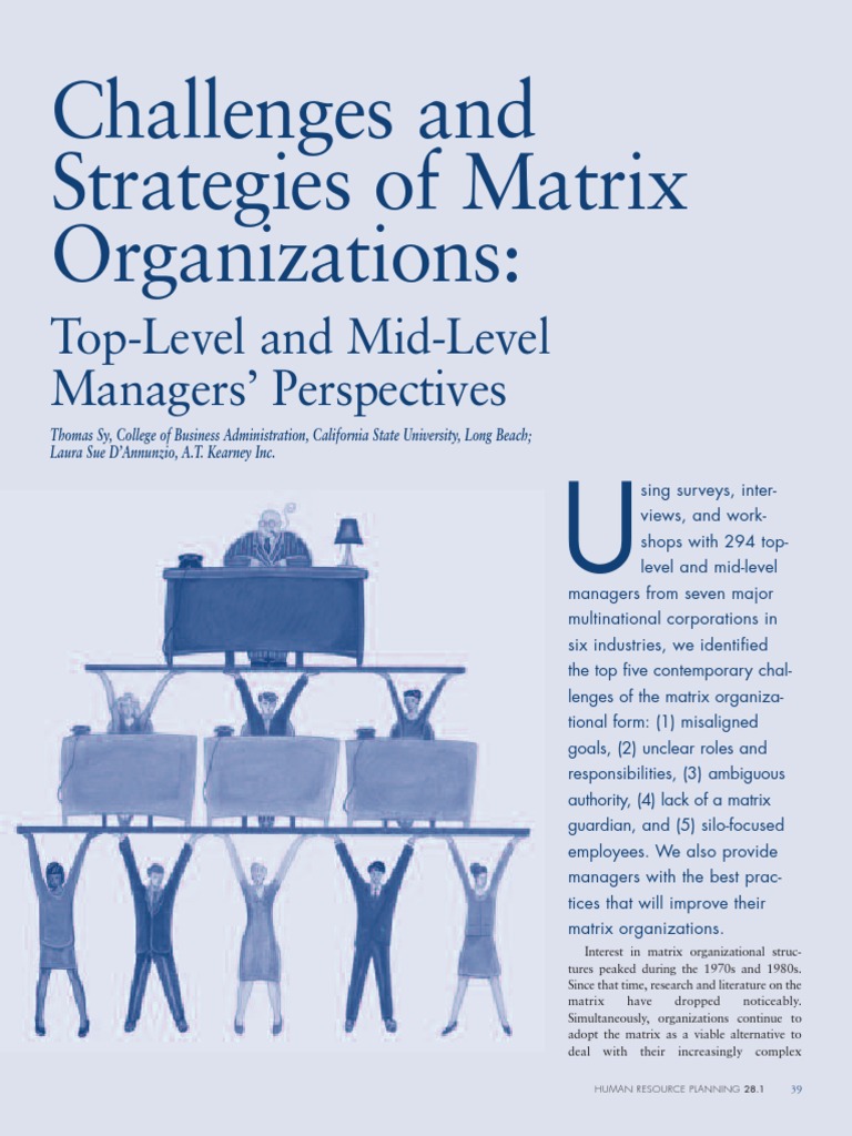 Challenges and Strategies of Matrix Organization | PDF