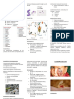 Triptico Leishmaniasis