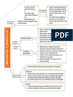 Cuadro Sinoptico de Las Mutaciones