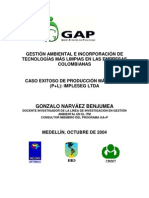 Caso Exitoso de Producción Más Límpia en La Ciudad de Medellín