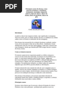 Principais causas da doença