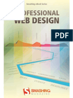Professional Web Design PDF
