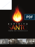 cadernetadoespritosanto-110325074700-phpapp01 (1)