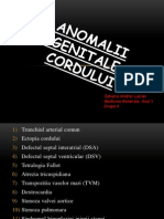 Anomalii Congenitale Ale Cordului - Zaharia Andrei Lucian MG I Gr4