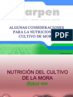 Nutricion Mora