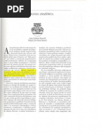 Anna Roosevelt - Arqueologia Amazônica