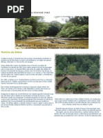 ALDEIA INDÍGENA TENONDÉ  PORÃ (1)