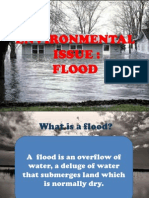 Environmental Issue: Flood