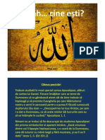 Microsoft PowerPoint - Allah Cine Esti