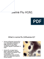 Swine Flu Info