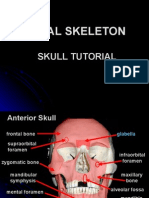104112 Axial Skeleton Tutorial SKULL