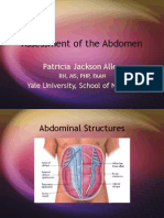 3973806-Abdomen