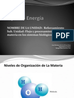 3 Ecosistemas Energia