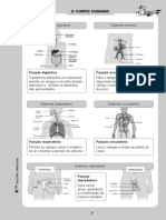 Corpo Todos Os Sistemas Resumo