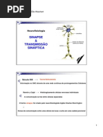 Sinapse & Neurotransmissao Geral