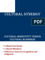 Cultural Synergy 