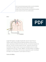 Diversos Tipos CVC