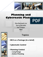 Planning and Cybernetic Control