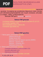 Download Tehnici FNP Si Metode in Kinetoterapie1 by Vacian Ramona SN215341204 doc pdf