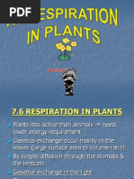 71-6-respirationinplants-120601180309-phpapp01