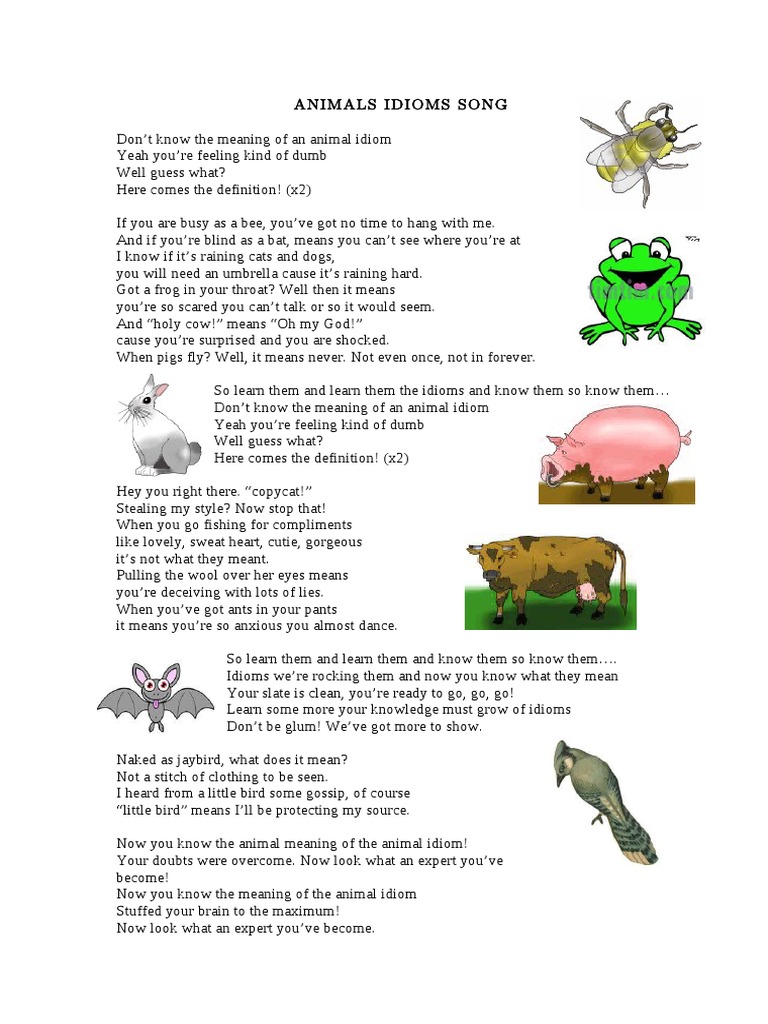 Hofte Universel Dekoration Animal Idioms Song-Lyrics - Activity2 | PDF