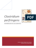 Clostridium Perfringens