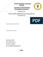 Técnica de Microaglutinación para Diagnóstico de Leptospira SP