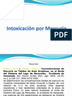 Intoxicación Por Mercurio