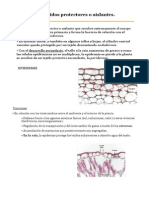 Tema 8 Tejprot