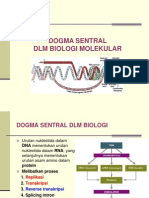 Dogma Central