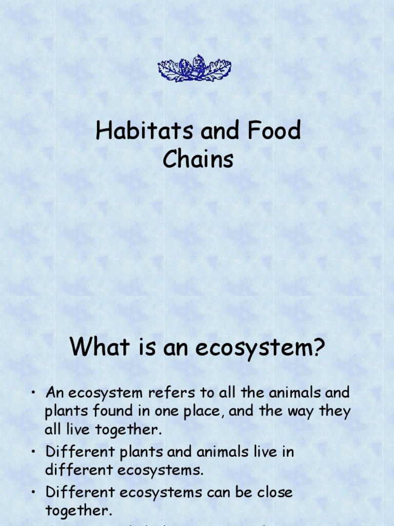 Habitats and Foodchains Biology Diagrams