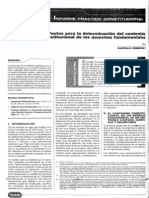 Castillo Cordova, Pautas para Determinar El Contenido Constitucionalmente Protegido de Los Derechos