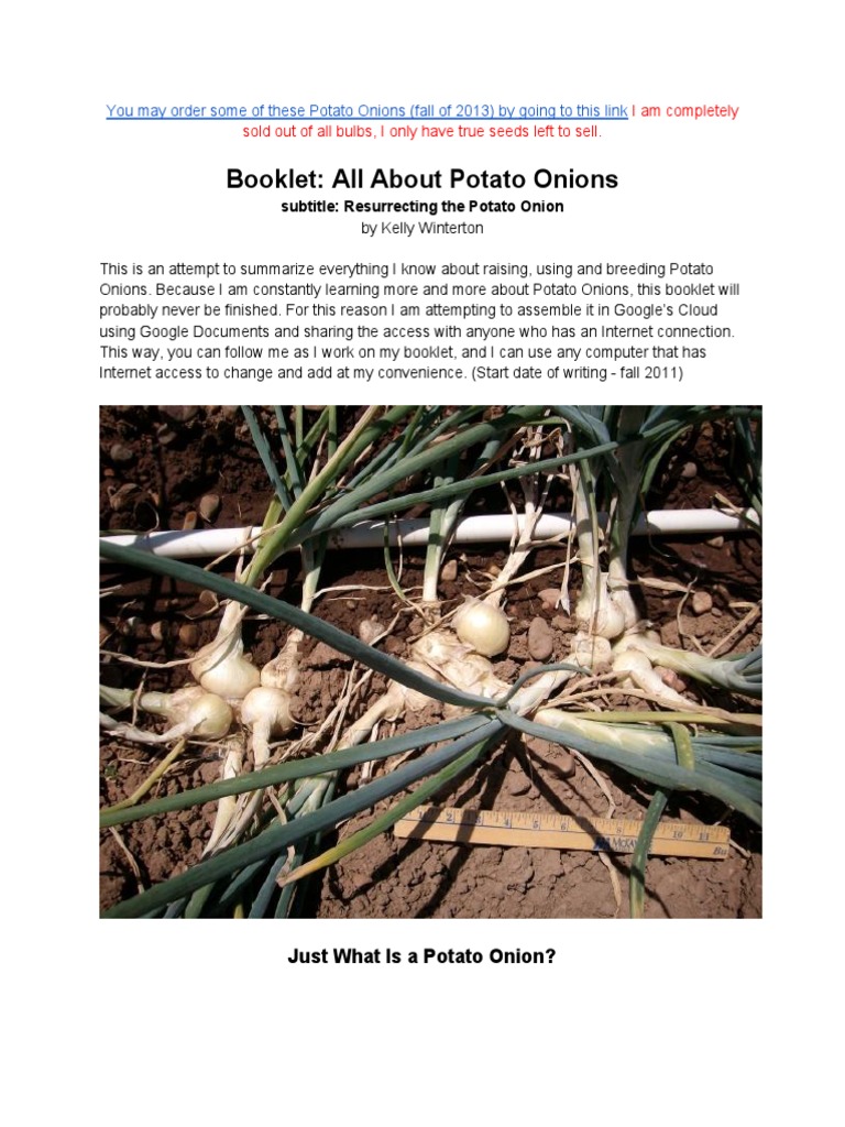 Booklet All About Potato Onions Onion Chicken