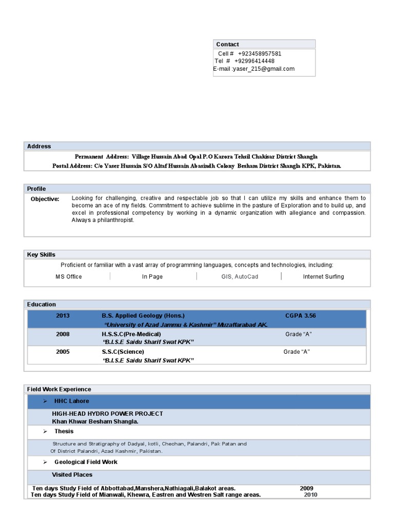 Geology Graduate CV and Skills Summary | PDF
